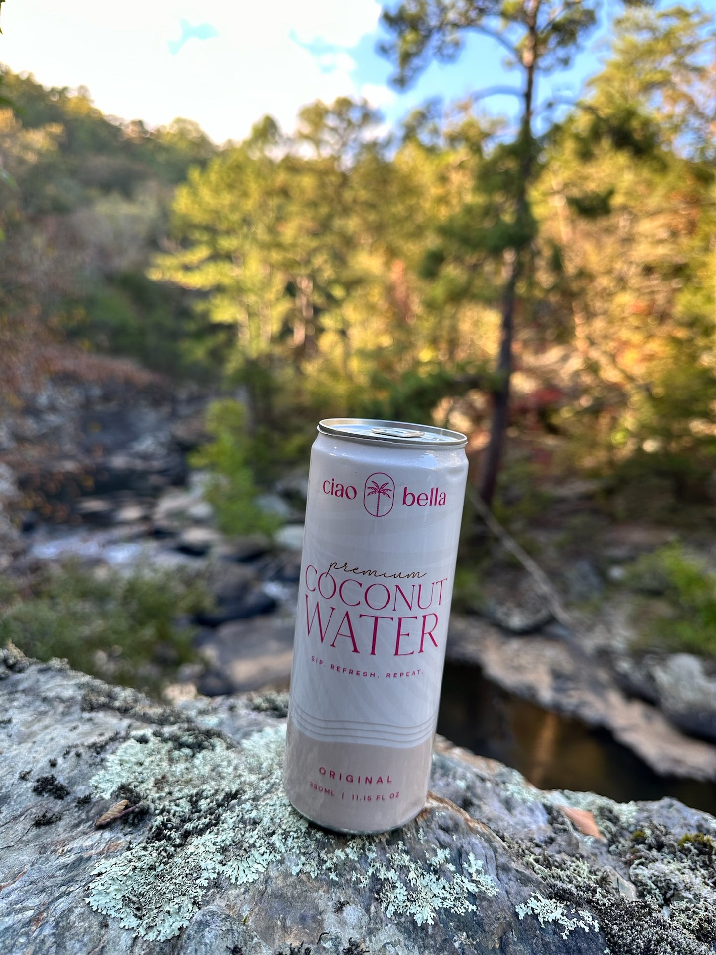 Ciao Bella Premium Coconut Water – 100% Pure Hydration | 12-Pack (11.2 fl oz Cans)